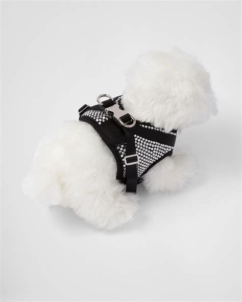 prada pet accessories sale